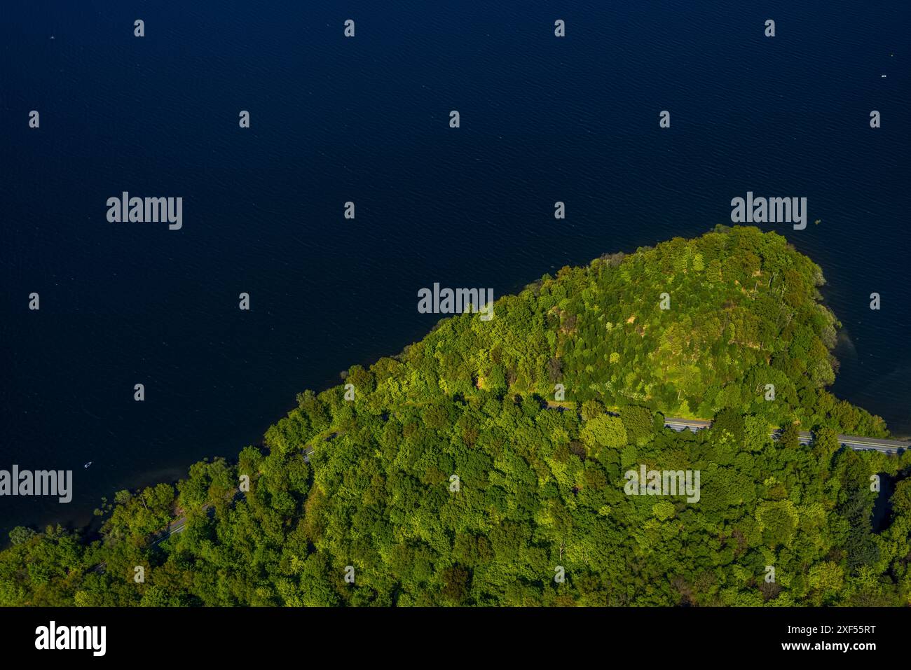 Aus der Vogelperspektive Möhnesee Südufer mit Friedhofswald und Baumschäden, Friedhof, Dürre im Wald, Stausee, Rindenkäfer-Befall, Baumbestattung Stockfoto