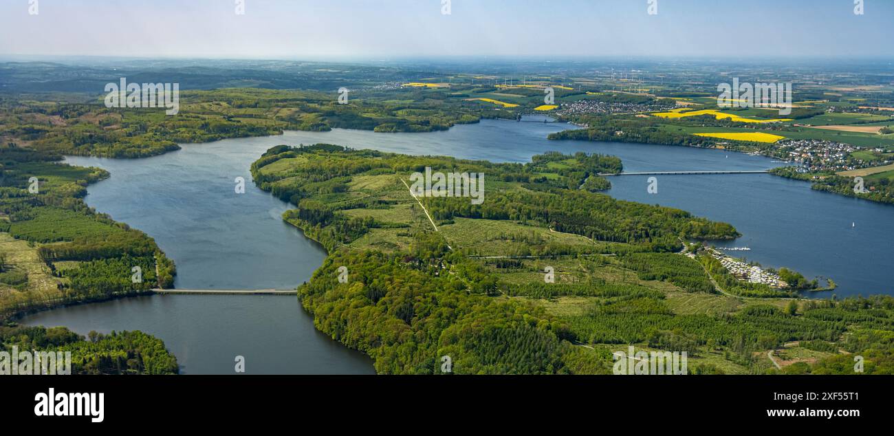 Aus der Vogelperspektive Möhnesee Südufer mit Friedhofswald und Baumschäden, Friedhof, Dürre im Wald, Stausee, Rindenkäfer-Befall, Baumbestattung Stockfoto