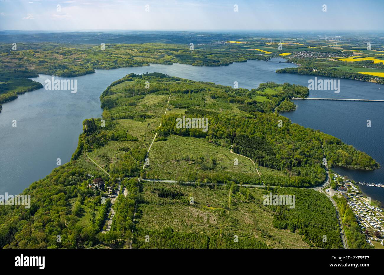 Aus der Vogelperspektive Möhnesee Südufer mit Friedhofswald und Baumschäden, Friedhof, Dürre im Wald, Stausee, Rindenkäfer-Befall, Baumbestattung Stockfoto