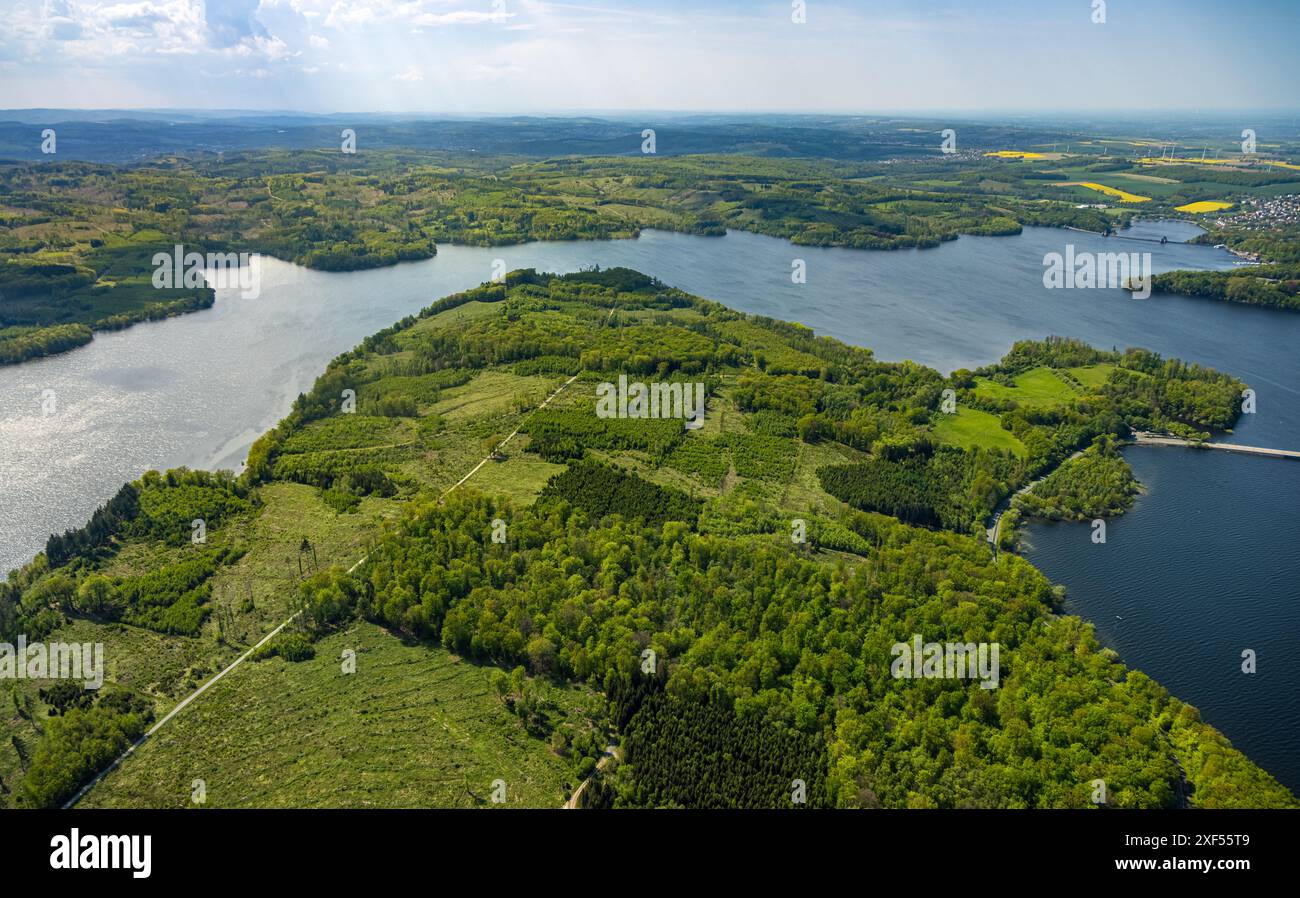 Aus der Vogelperspektive Möhnesee Südufer mit Friedhofswald und Baumschäden, Friedhof, Dürre im Wald, Stausee, Rindenkäfer-Befall, Baumbestattung Stockfoto