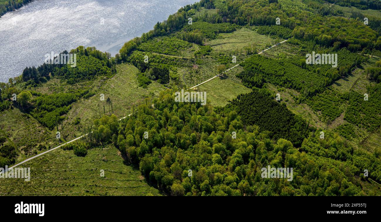Aus der Vogelperspektive Möhnesee Südufer mit Friedhofswald und Baumschäden, Friedhof, Dürre im Wald, Stausee, Rindenkäfer-Befall, Baumbestattung Stockfoto