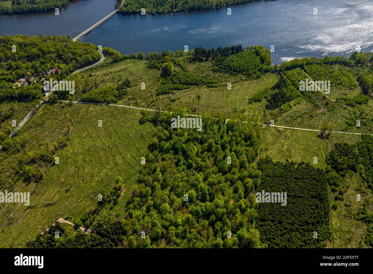 Aus der Vogelperspektive Möhnesee Südufer mit Friedhofswald und Baumschäden, Friedhof, Dürre im Wald, Stausee, Rindenkäfer-Befall, Baumbestattung Stockfoto