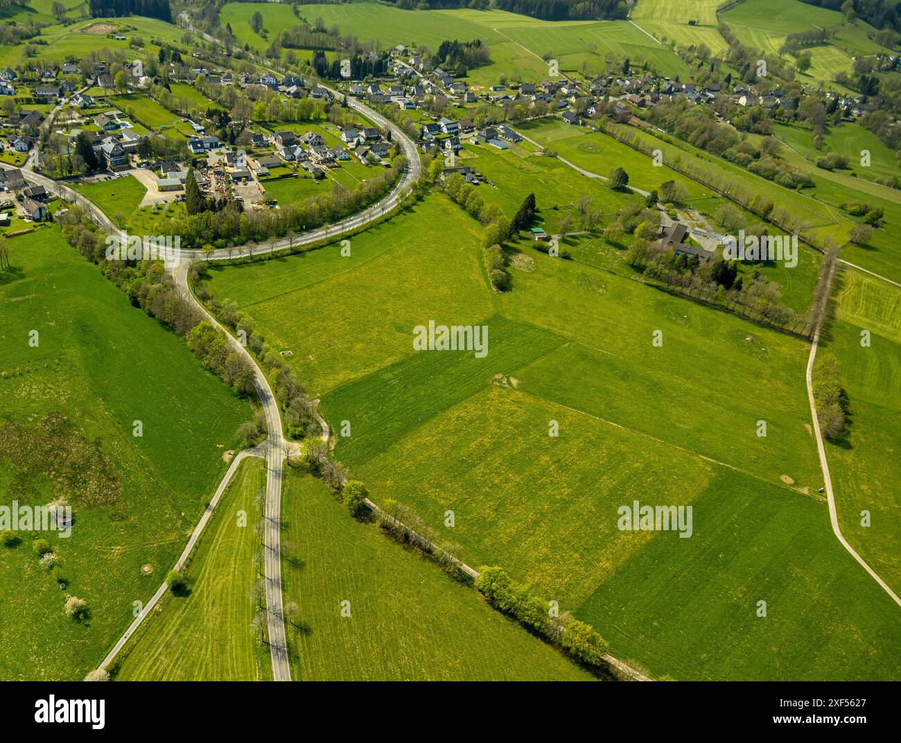 Aus der Vogelperspektive, Wiesen und Felder mit Narzissen, Kreuzungen und Baumallee an der Schleidener Straße und Schafstrift, Formen und Farben, Residentien Stockfoto