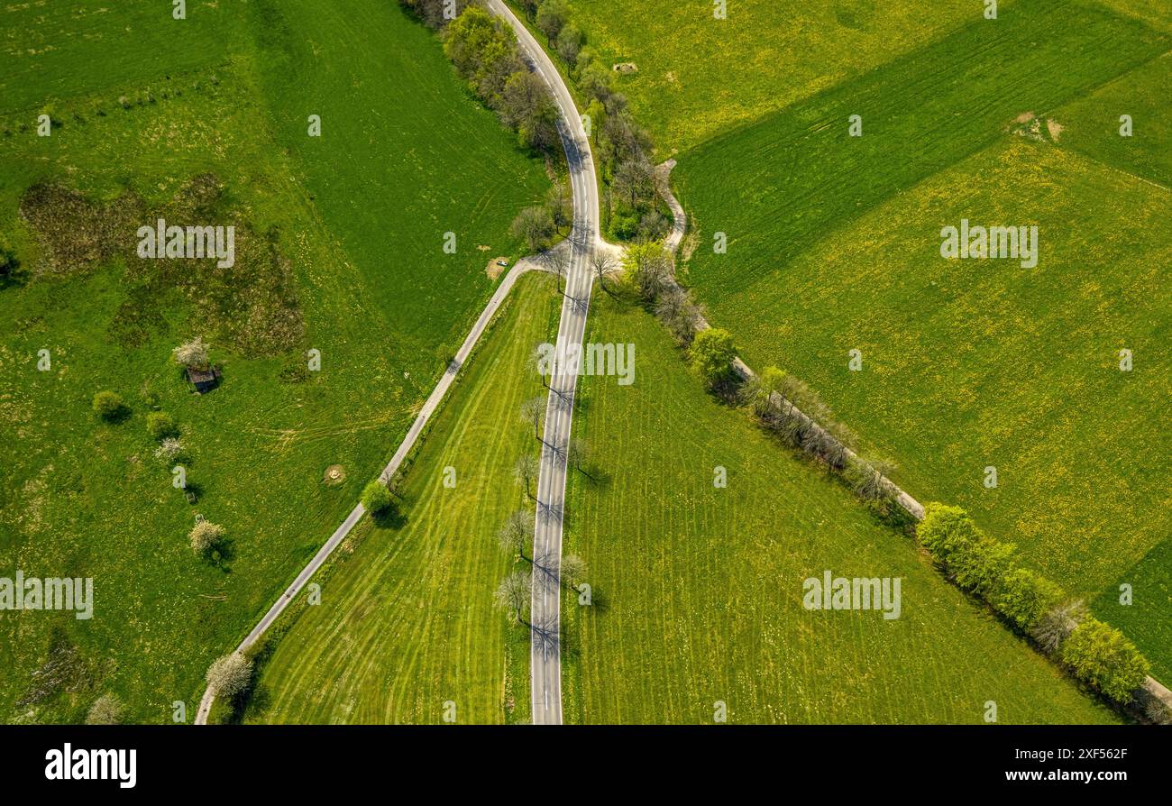 Aus der Vogelperspektive, Wiesen und Felder mit Narzissen, Kreuzungen und Baumallee an der Schleidener Straße und Schafstrift, Formen und Farben, Höfen, Mon Stockfoto