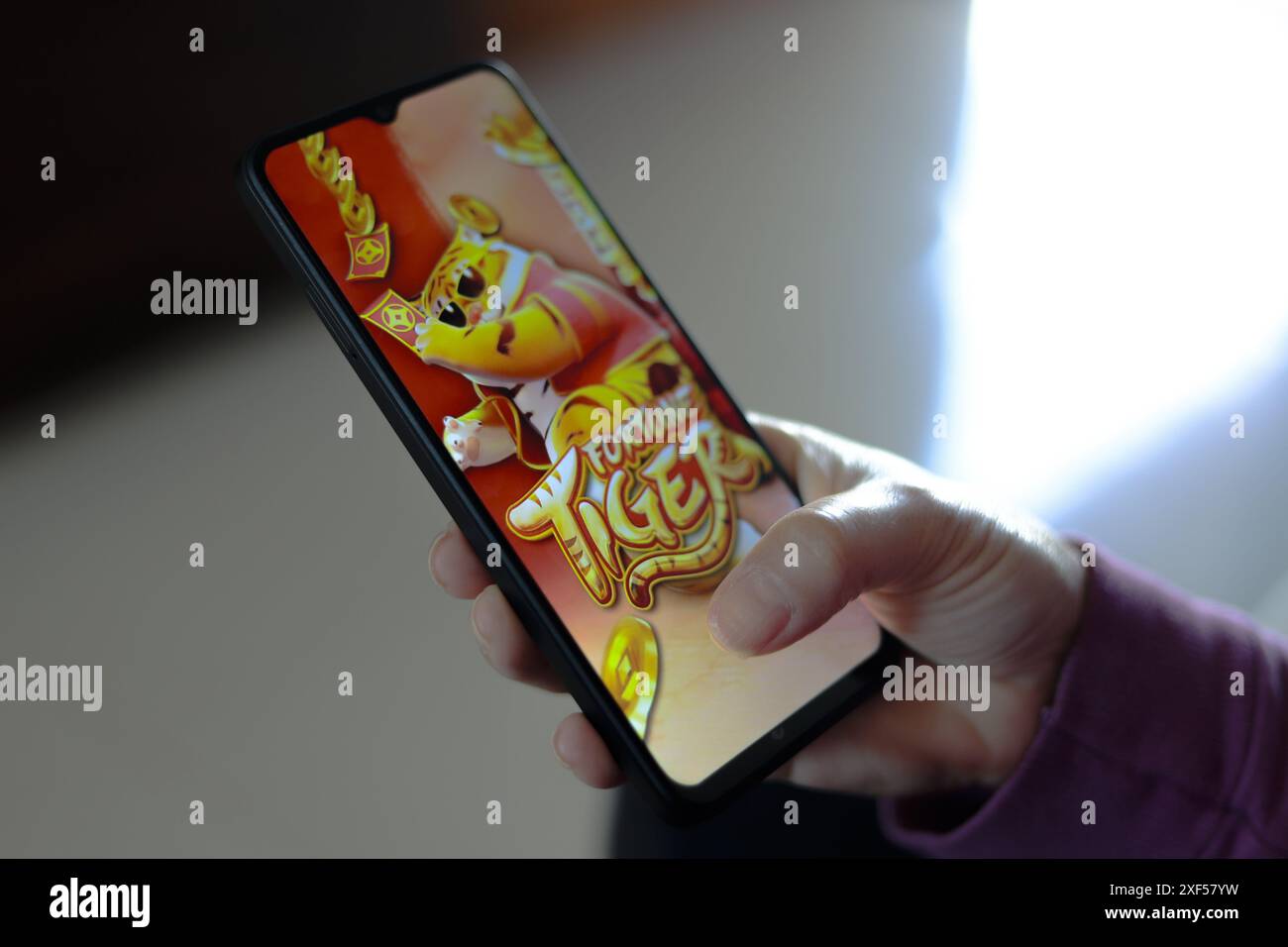 Ivinhema (MS), 07/2024 - Pessoa jogando o o Fortune Tiger, também chamado de Jogo do Tigrinho kein Smartphone. Organizações kriminosas estariam usando Stockfoto