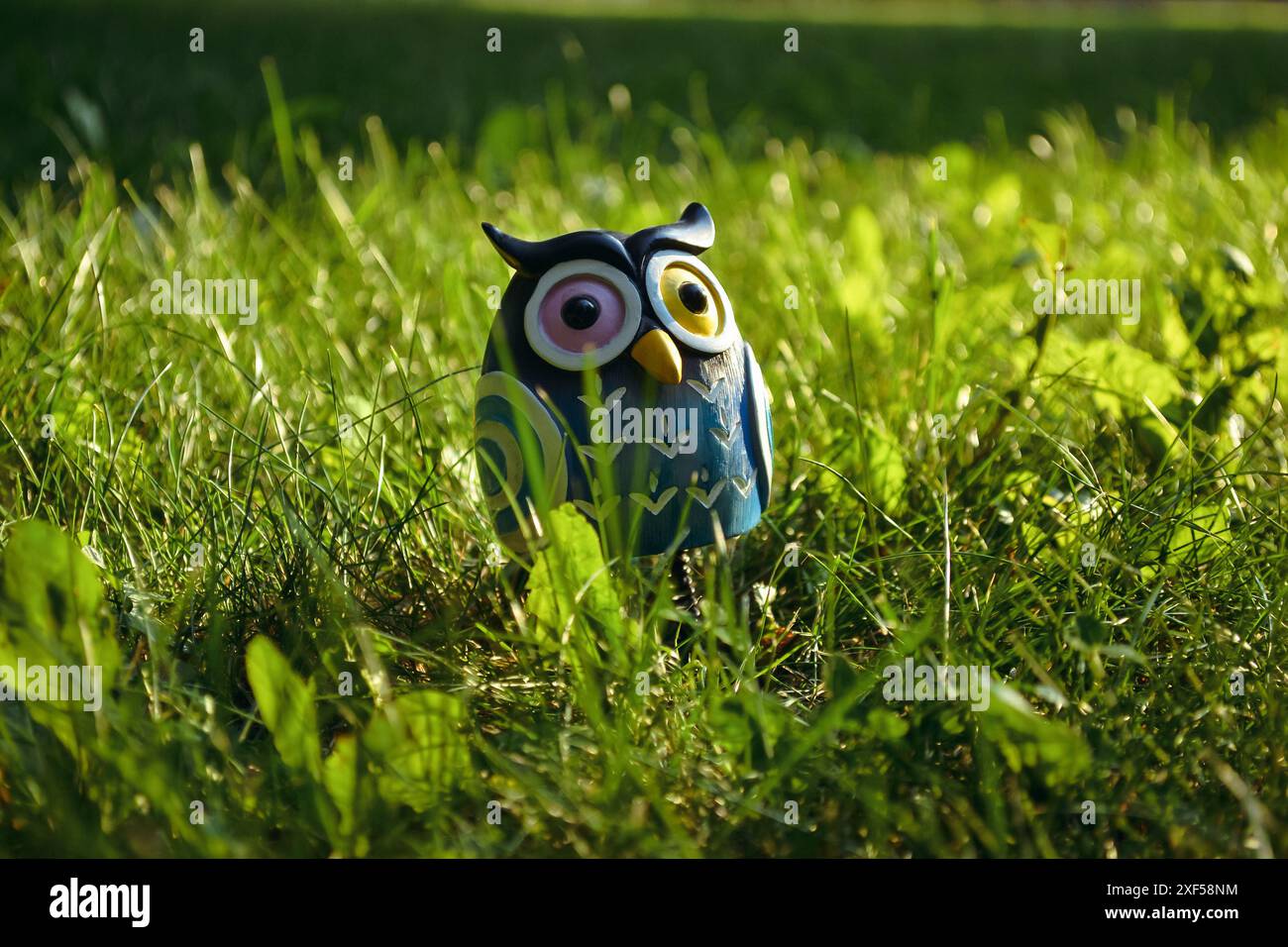 Ein Spielzeug einer überraschten blauen Eule mit mehrfarbigen Augen in Nahaufnahme steht mitten im grünen Gras im Licht der Abendsonne Stockfoto