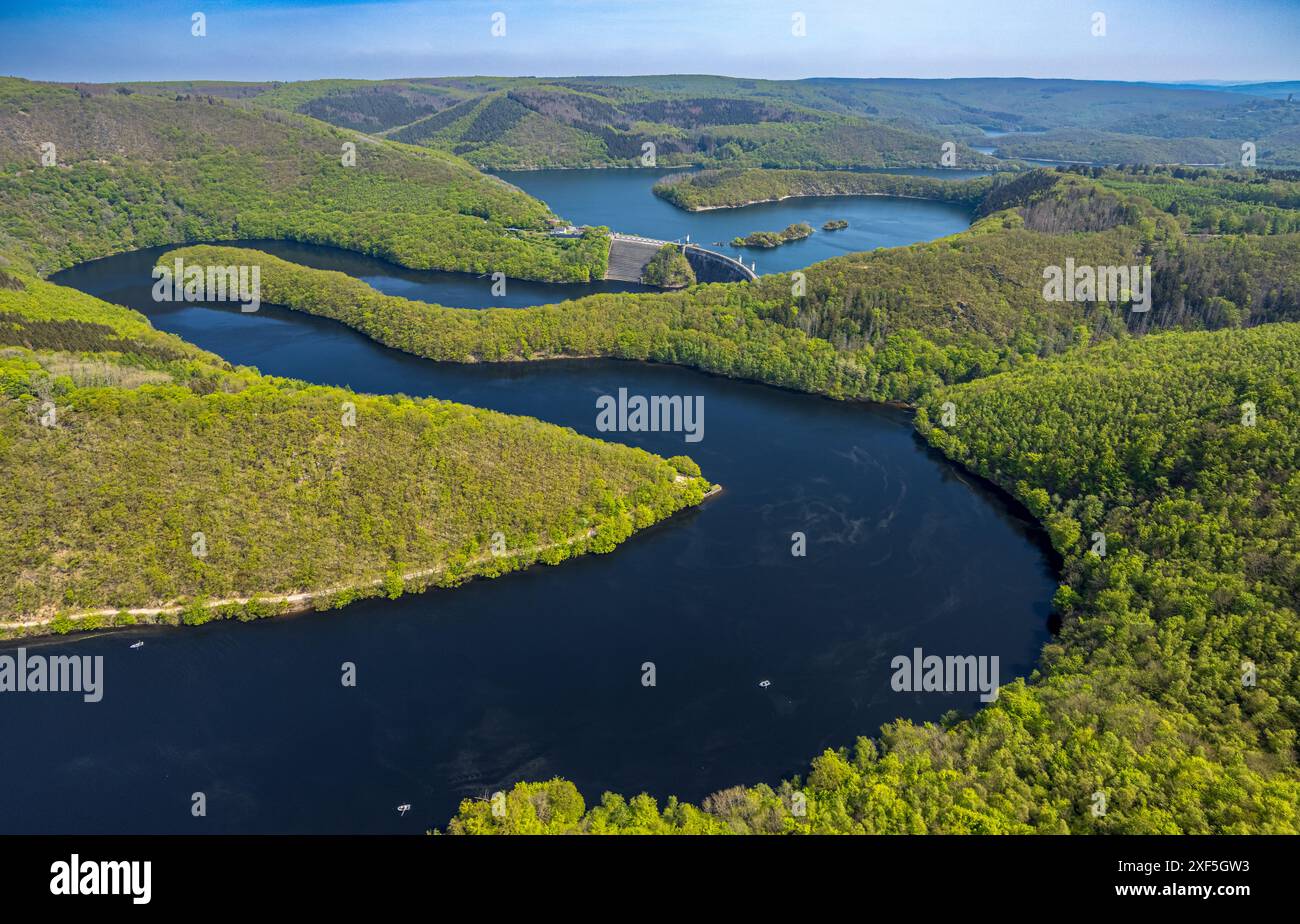 Aus der Vogelperspektive, Rur und Urfttalsperre Urftsee, Fernsicht Waldgebiet Hügel und Täler, Nationalpark Eifel Nordeifel Eifel, Rurberg, Simmerath, Nor Stockfoto