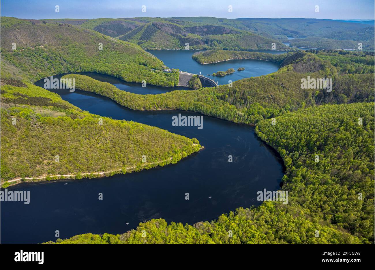 Aus der Vogelperspektive, Rur und Urfttalsperre Urftsee, Fernsicht Waldgebiet Hügel und Täler, Nationalpark Eifel Nordeifel Eifel, Rurberg, Simmerath, Nor Stockfoto