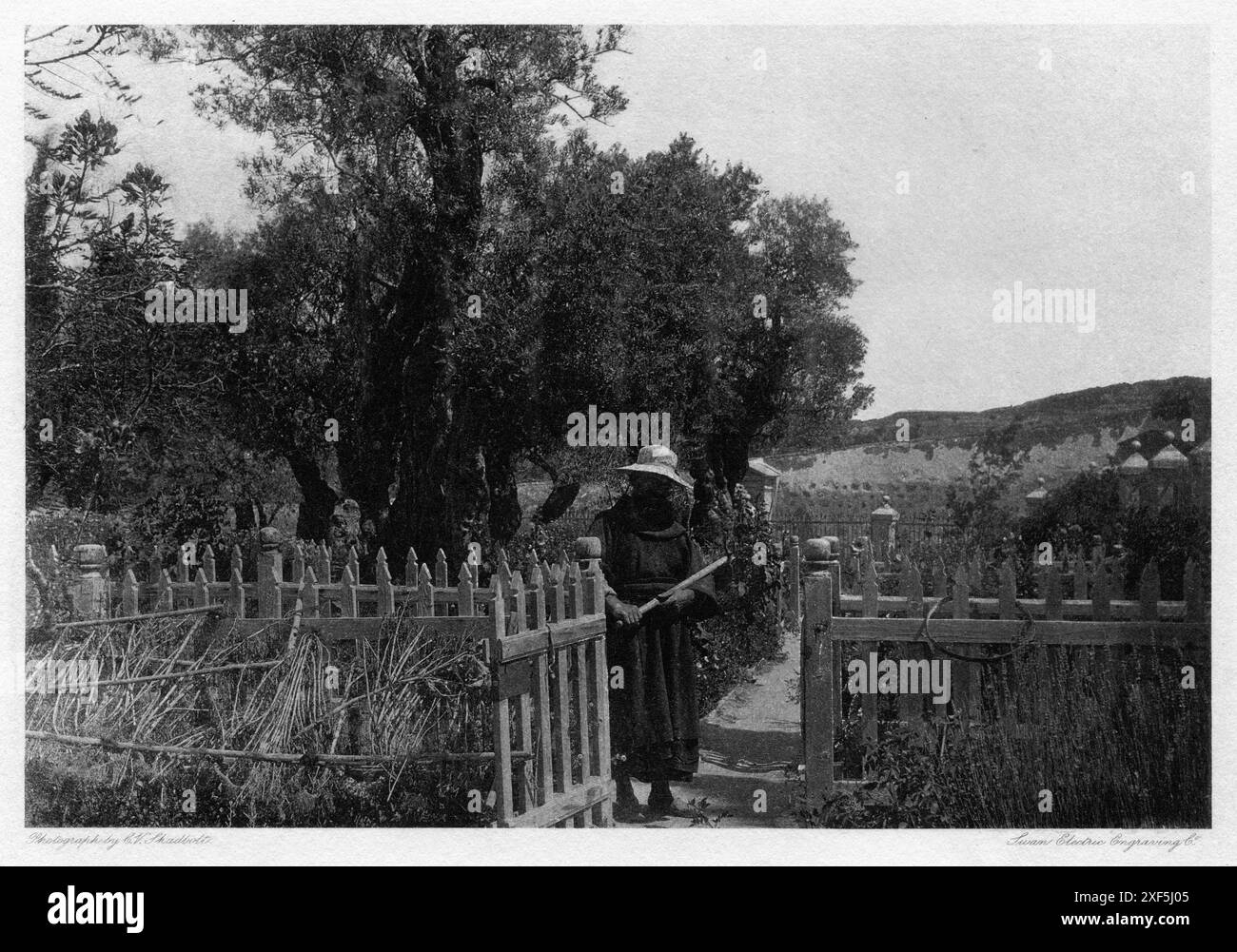 Palästina. 1880er Jahre – Ein Fotodruck der Swan Electric Engraving Company, reproduziert von einem Foto von Cecil Victor Shadbolt, das während seiner Reise durch Palästina aufgenommen wurde. Die Schrift trägt den Titel „der Garten Gethsemane“. Stockfoto