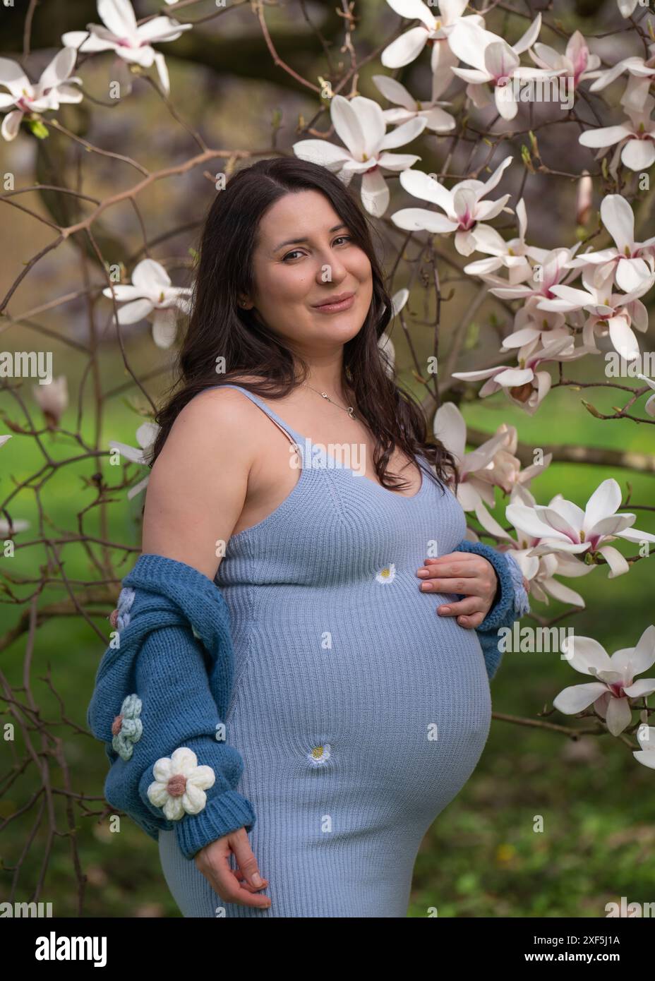Porträt einer niedlichen schwangeren Frau im Park, gekleidet in einem blauen Kleid zwischen Magnoli-Blumen. Lady, die in die Kamera schaut, Nahaufnahme. Schwangerschaft. Warten auf Stockfoto