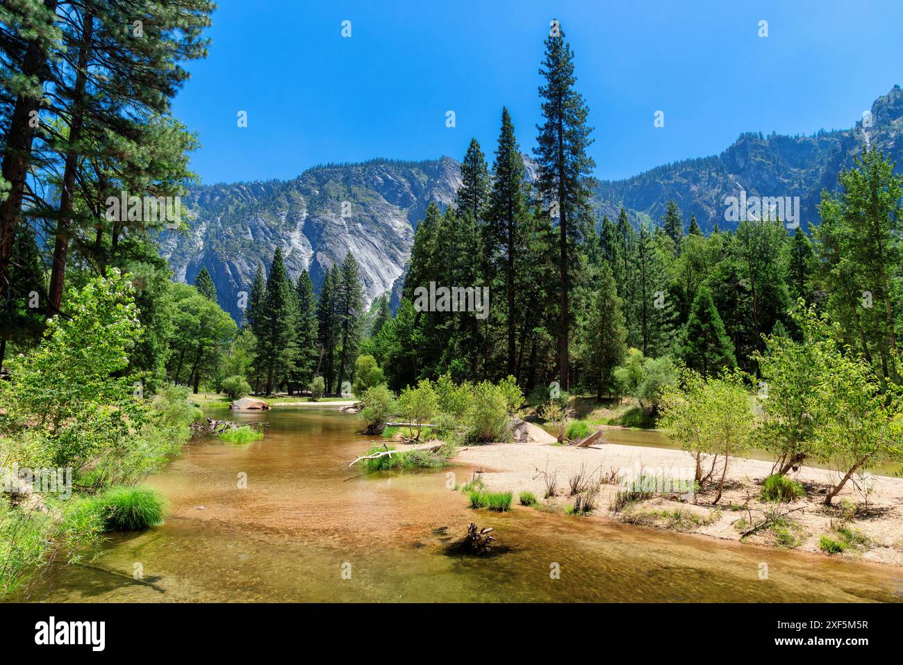 Wunderschönes Bergtal am Sommertag im Yosemite National Park, Kalifornien Stockfoto