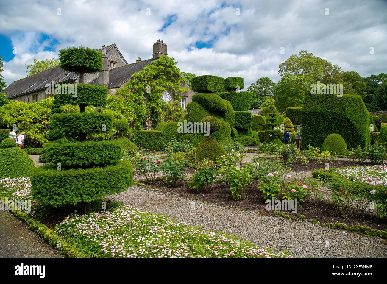 Formschnitt bei Levens Hall, Cumbria, England UK Stockfoto