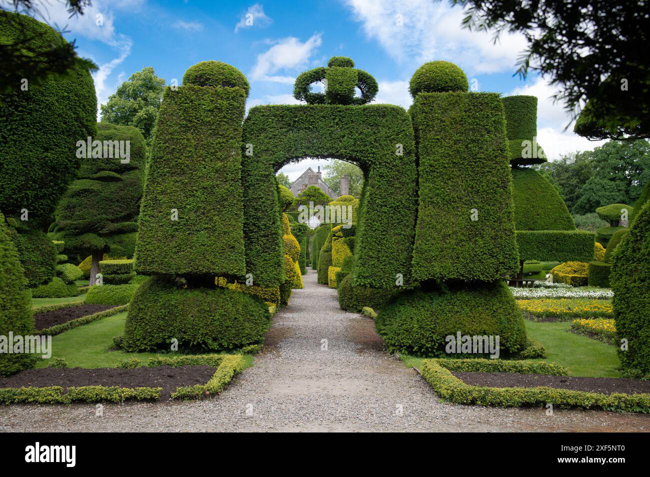 Formschnitt bei Levens Hall, Cumbria, England UK Stockfoto