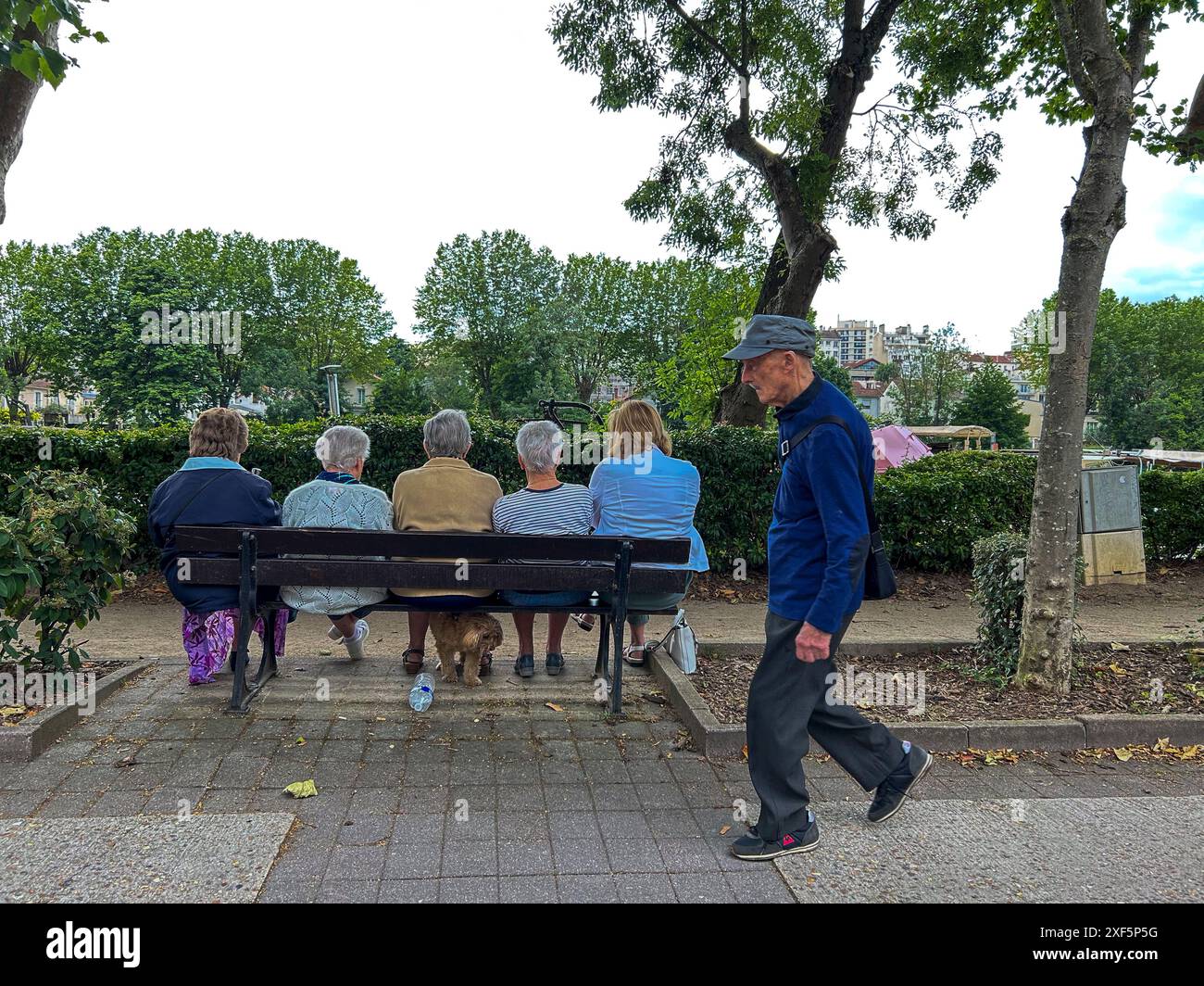 Joinville-le-Pont, Frankreich, kleine Menschenmenge Senioren, sitzen von hinten, am Marne River Quay, Park Bench Stockfoto