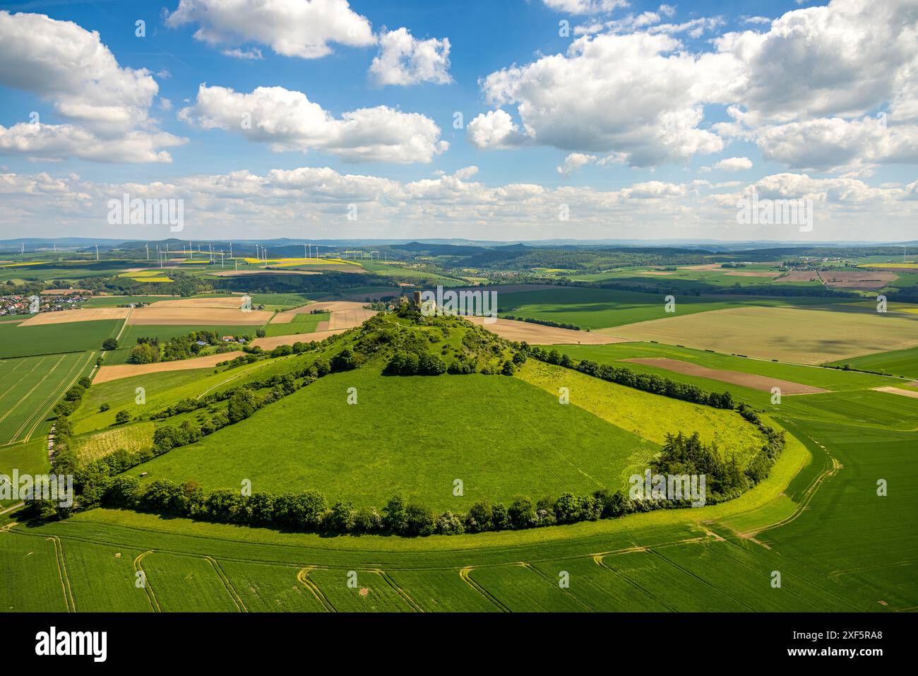 Aus der Vogelperspektive, Schloss Desenberg auf einem Vulkankegel, historische Sehenswürdigkeit, Ruinen einer Burg auf einem Hügel in der Warburg Börde, Allee mit Bäumen im Halbkreis, m Stockfoto