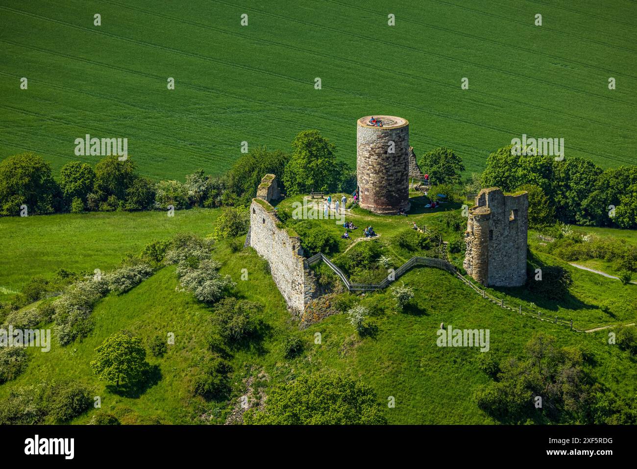 Aus der Vogelperspektive, Schloss Desenberg auf einem Vulkankegel, historische Sehenswürdigkeit, Ruinen einer Burg auf einem Hügel in der Warburg Börde, Besucher auf der Aussichtsplattform, Stockfoto