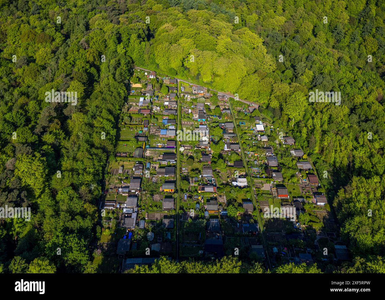 Luftaufnahme, Kleingartenverband Ostland e.v. am Harkortberg im Wald, Wetter, Ruhrgebiet, Nordrhein-Westfalen, Deutschland, Luftbild, zugeteilt Stockfoto