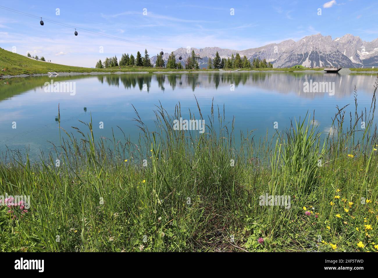 Das Kaisergebirge, einige Gondeln der Bergbahn, grüne Nadelbäume und blühende Wiesenpflanzen im Vordergrund, Weitwinkelblick Stockfoto