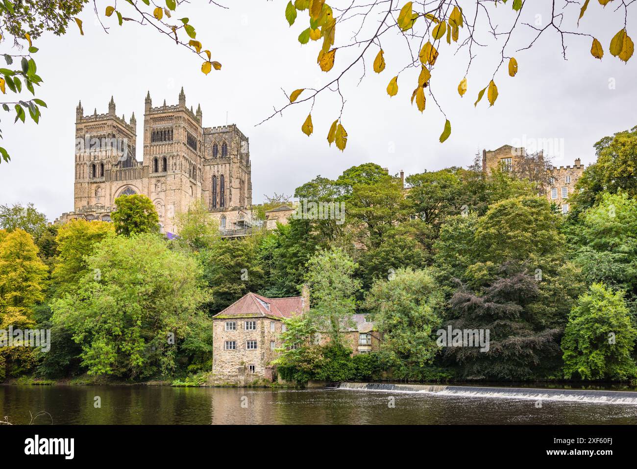 Die Kathedrale von Durham vom Fluss Wear aus gesehen, Durham, England, Großbritannien Stockfoto