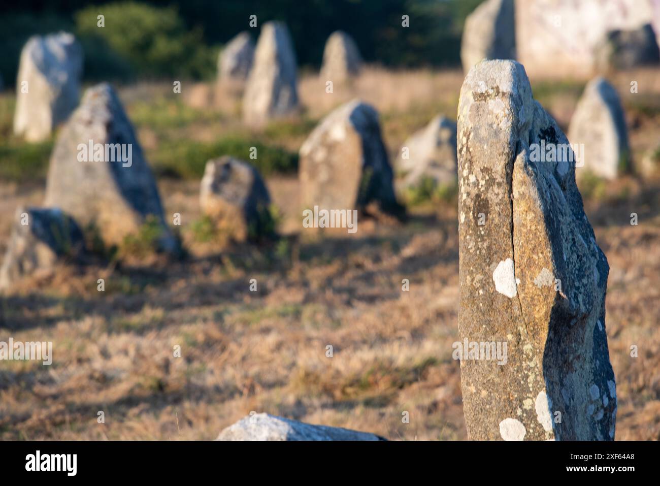 Nahaufnahme der antiken megalithischen Steine in Carnac, Bretagne, Frankreich, die historische und kulturelle Bedeutung zeigen. Stockfoto