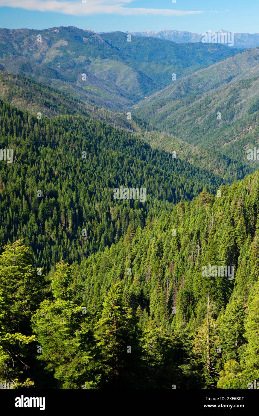 Der Salmon River wird vom Pacific Crest National Scenic Trail, Klamath National Forest, Kalifornien, entwässert Stockfoto