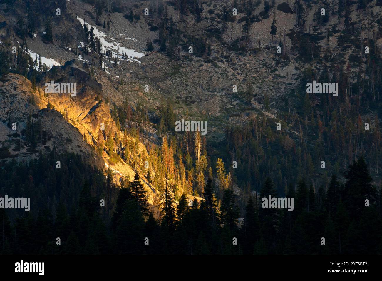 Blick auf den Ätna Summit vom Pacific Crest National Scenic Trail, Klamath National Forest, Kalifornien Stockfoto