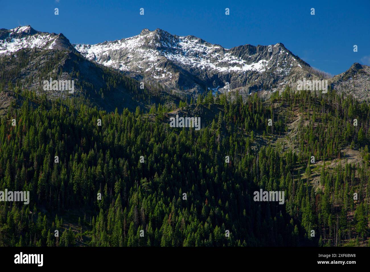 Blick auf den Ätna Summit vom Pacific Crest National Scenic Trail, Klamath National Forest, Kalifornien Stockfoto