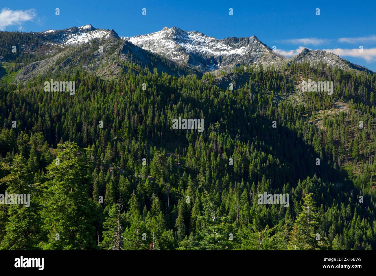 Blick auf den Ätna Summit vom Pacific Crest National Scenic Trail, Klamath National Forest, Kalifornien Stockfoto
