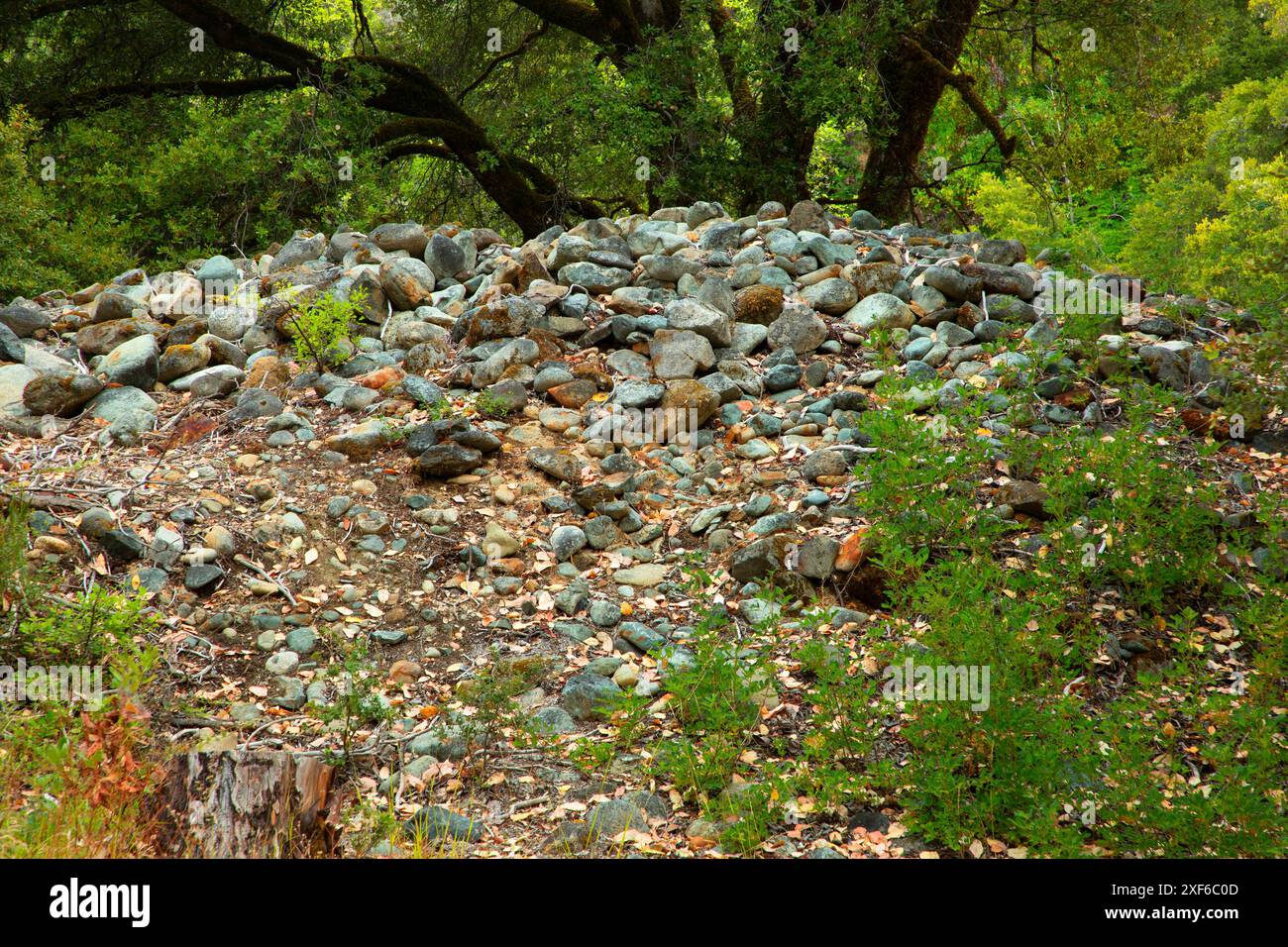 Goldminen, Klamath Wild and Scenic River, Klamath National Forest, Kalifornien Stockfoto