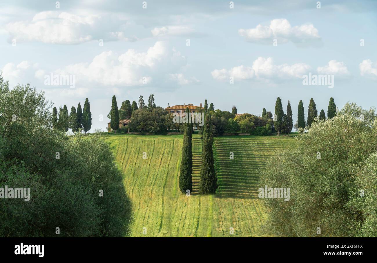 Toskanische Landschaft in der Nähe von San Quirico d'Orcia in der Toskana, Italien, April. Stockfoto