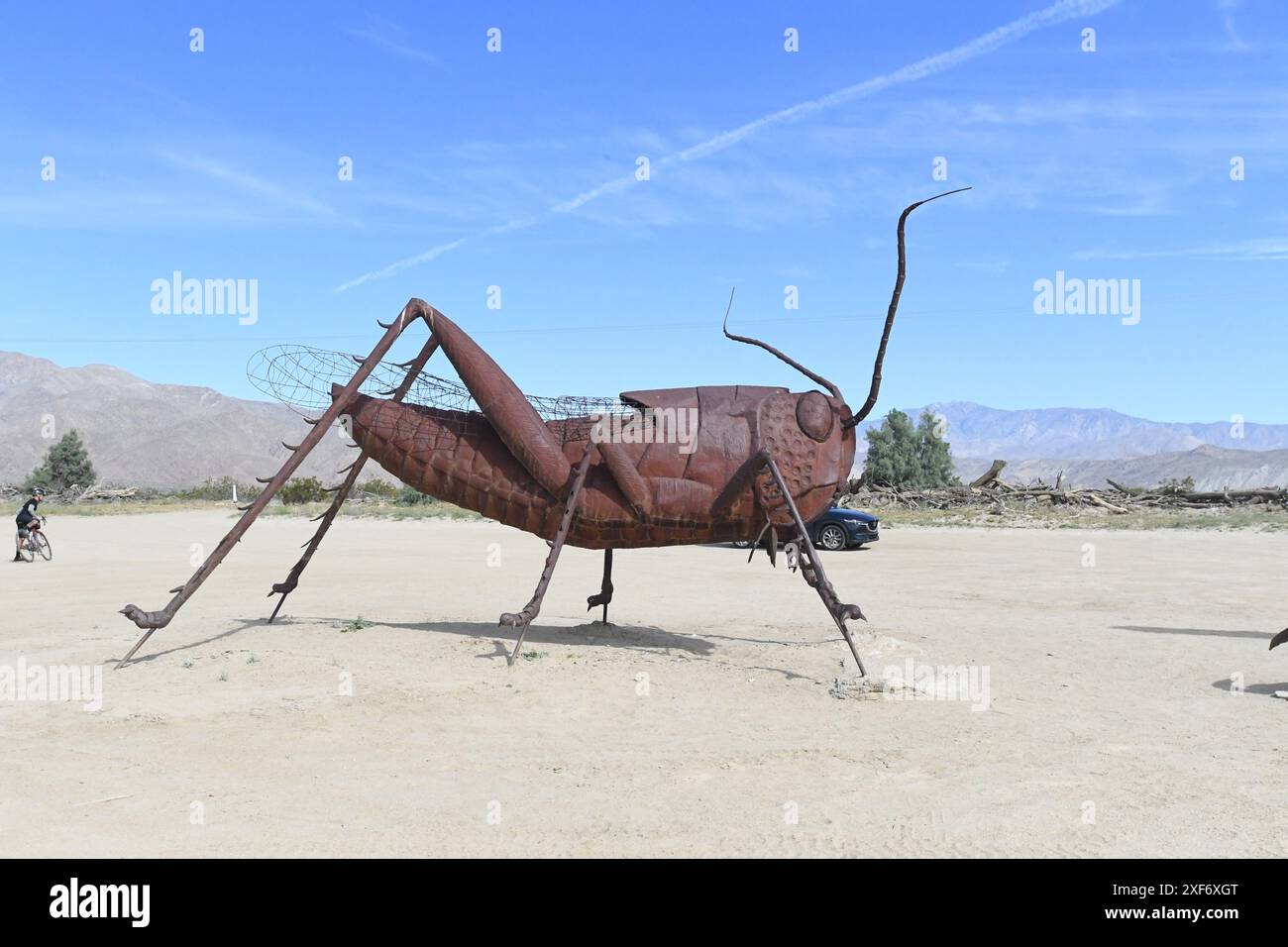 Heuschrecken-Skulptur in der Wüste Anza Borrego, in der Nähe der Stadt Borrego Springs, Stockfoto