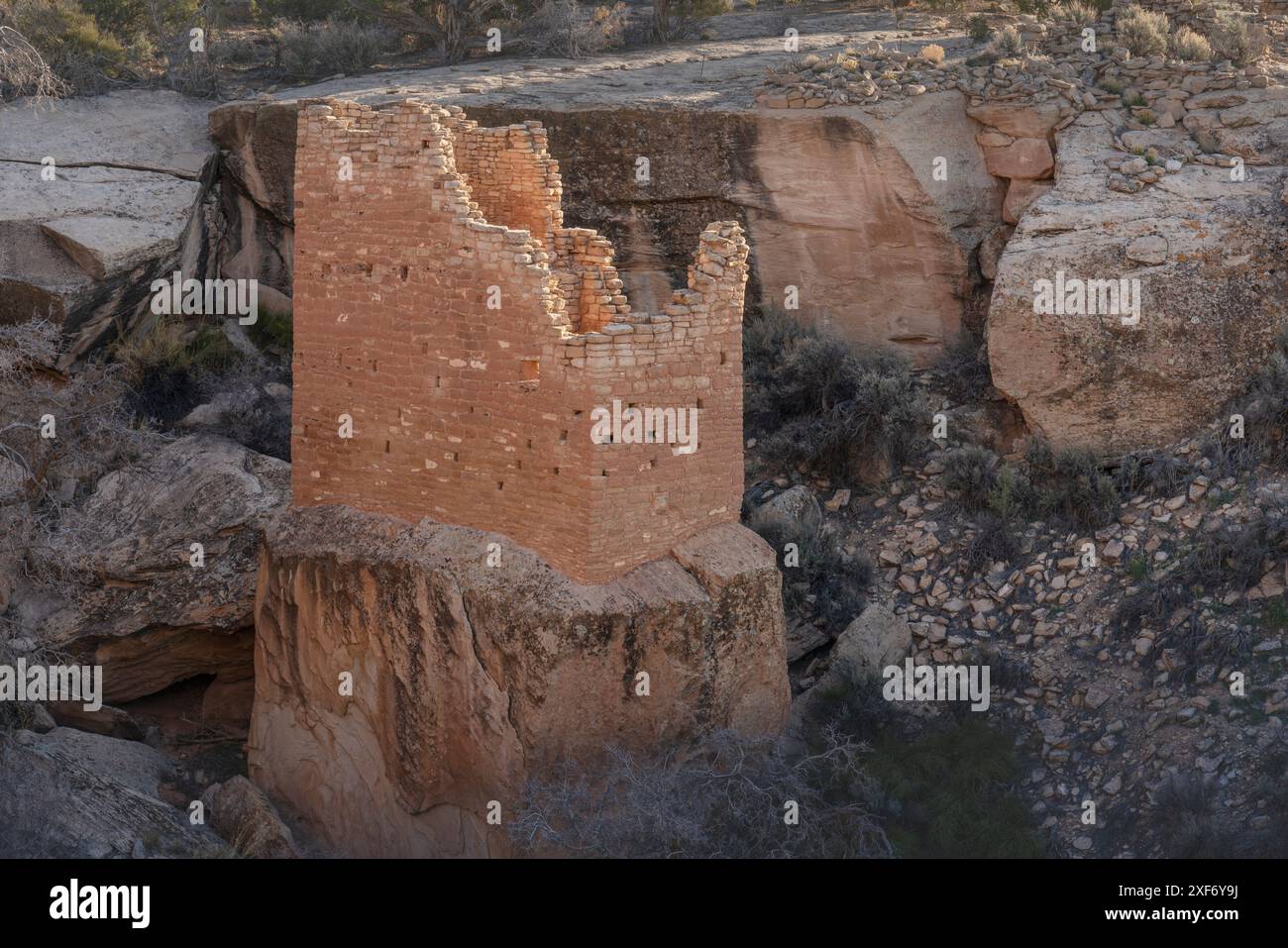 USA, Colorado, Canyons of the Ancients National Monument. Alte Pueblo Ruine genannt Holly Tower. Stockfoto