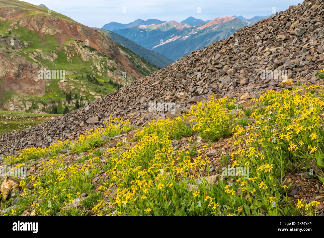 USA, Colorado, San Juan Mountains. Hurricane Pass und Wildblumen. Stockfoto