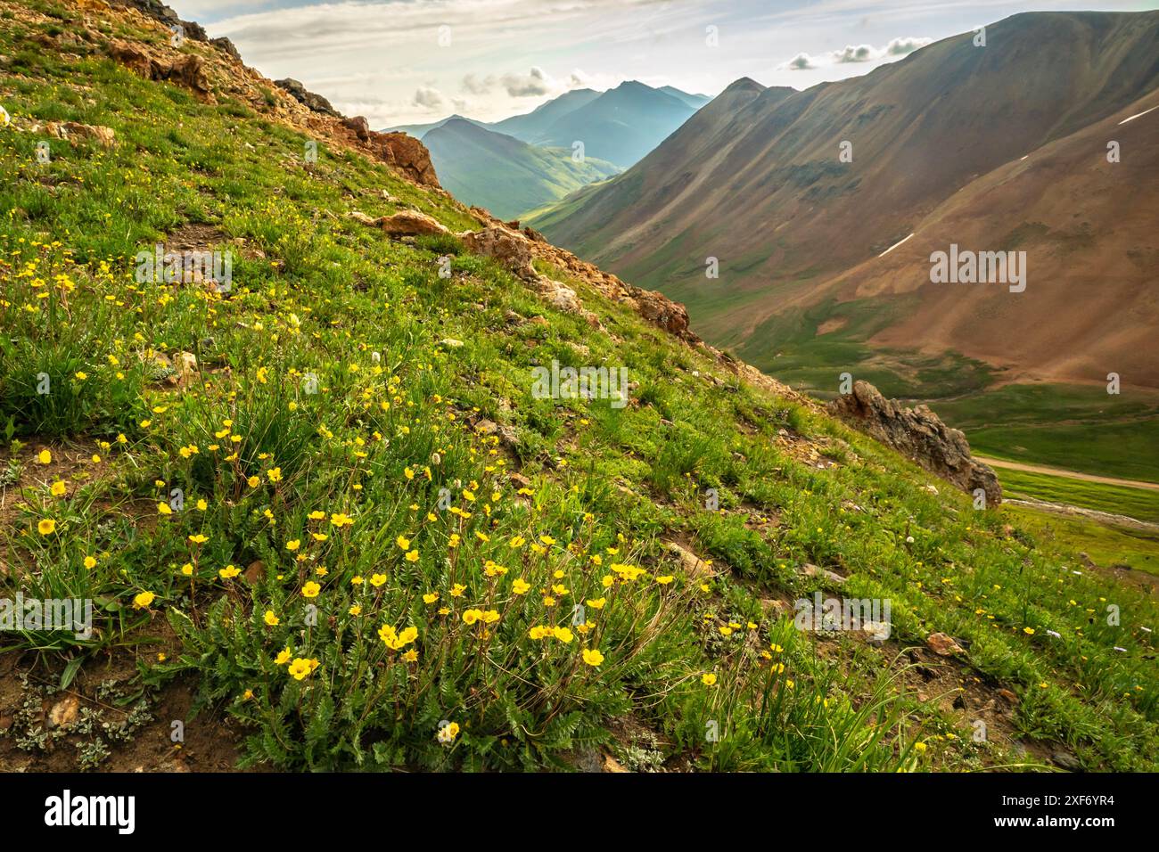 USA, Colorado, San Juan Mountains. California Pass Landschaft. Stockfoto