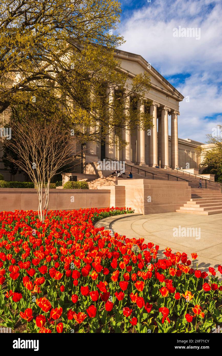 The National Archives, Washington, D. C, USA. Stockfoto