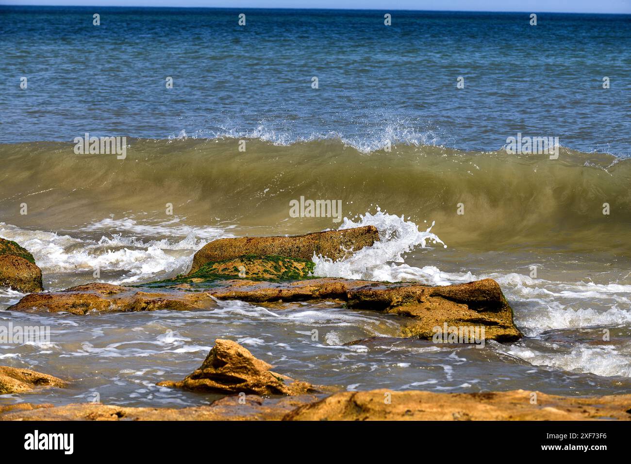 Wellen stürzen auf Coquina Rock Atlantik Stockfoto