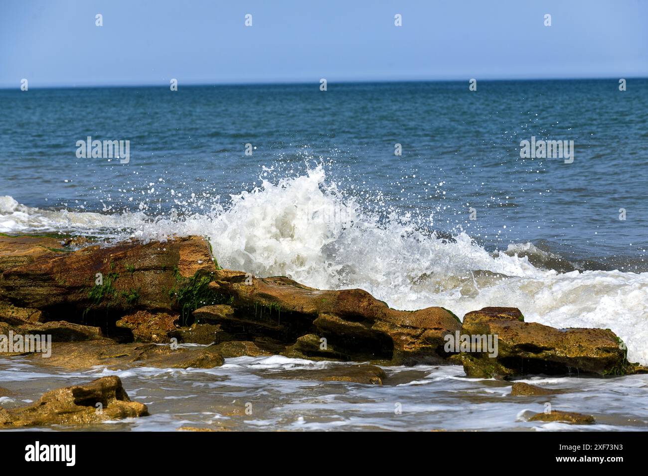 Wellen stürzen auf Coquina Rock Atlantik Stockfoto