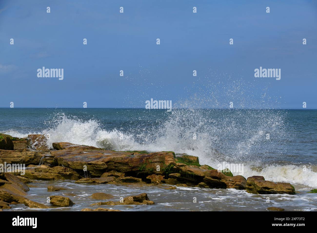 Wellen stürzen auf Coquina Rock Atlantik Stockfoto