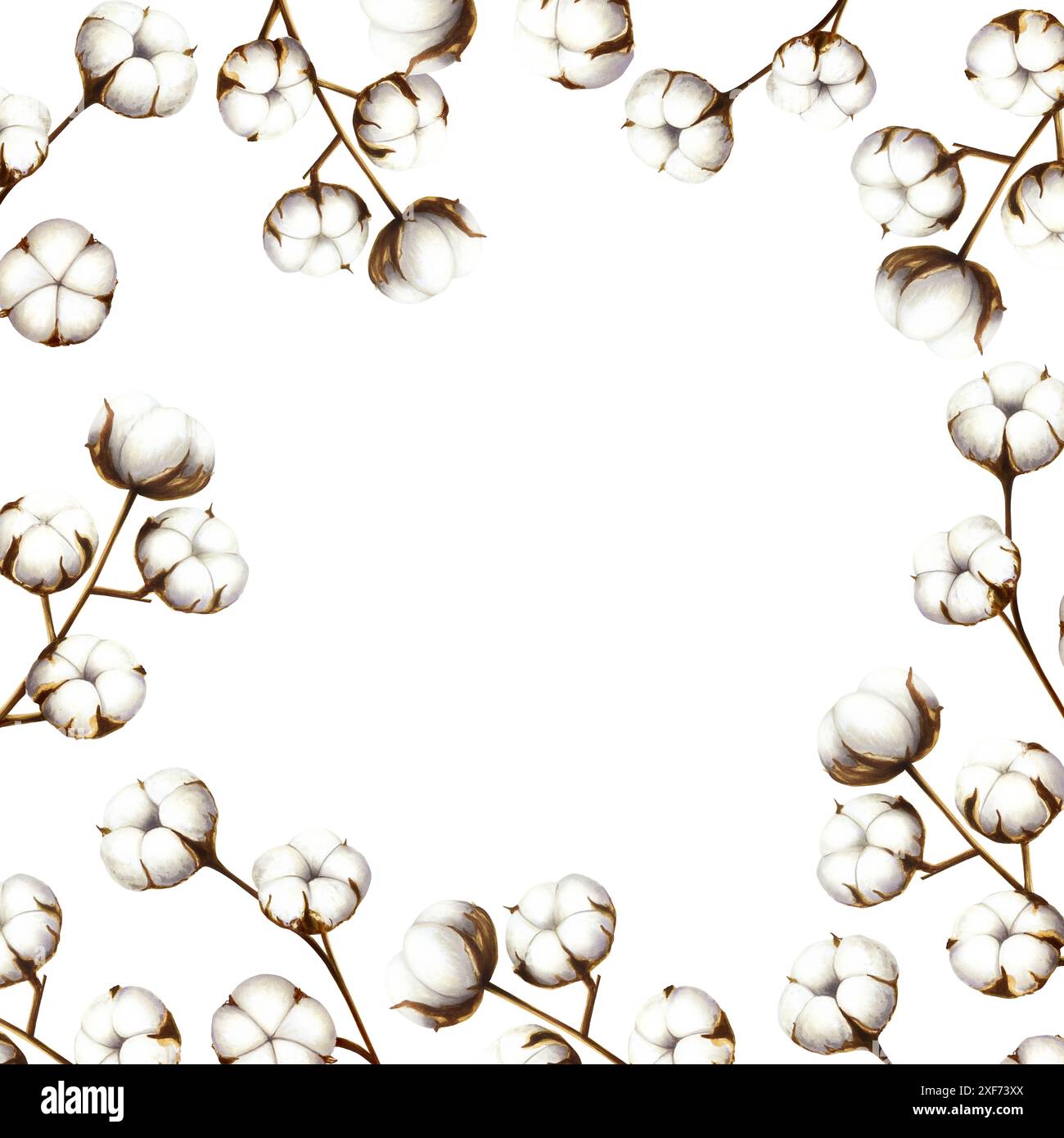 Realistischer Rahmen, Vorlage mit Baumwollblumenzweig. Aquarell Hand gezeichnet weiß flauschige Clipart isoliert auf Hintergrund. Weihnachten, Winter und Hochzeit Stockfoto