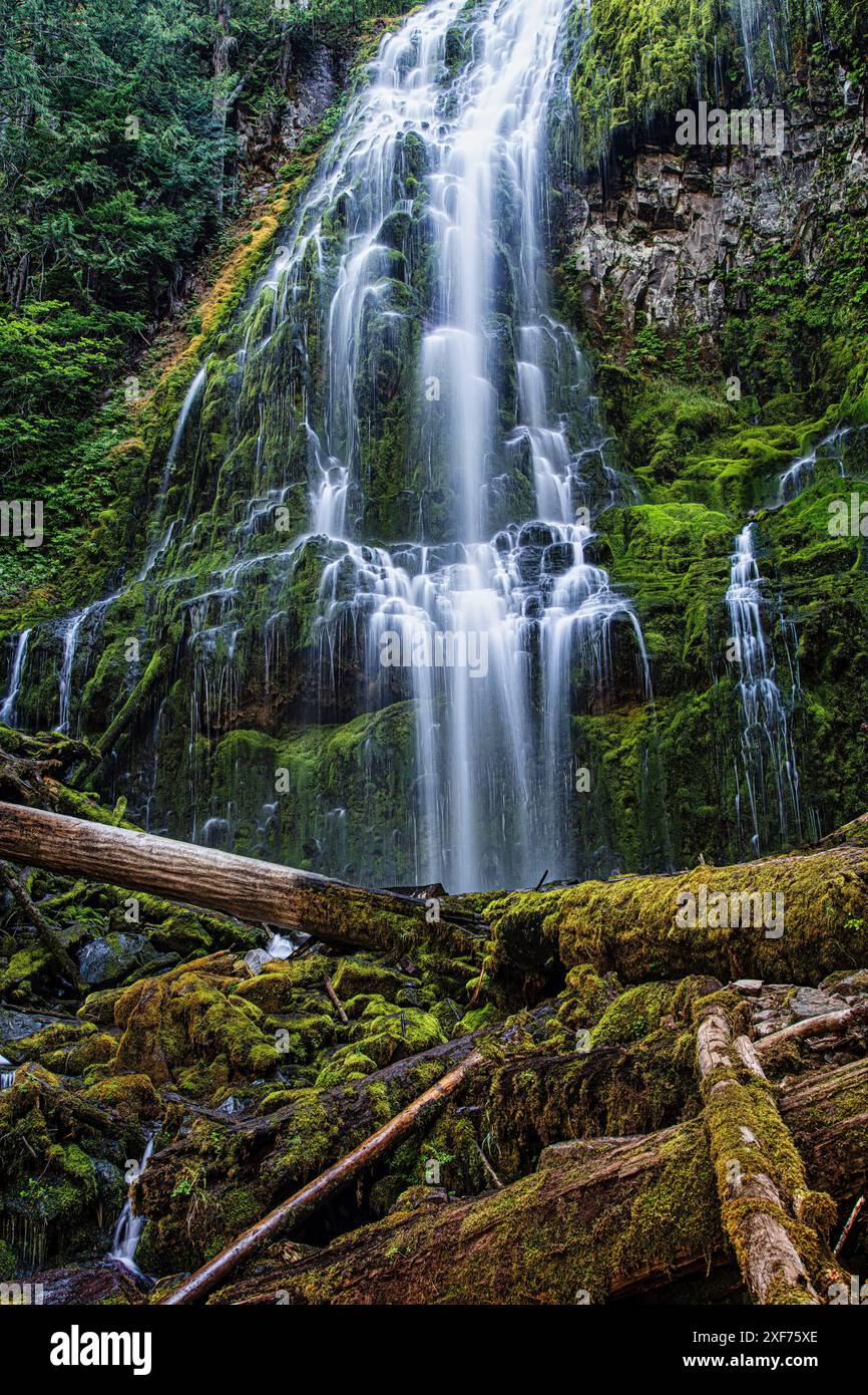 Proxy fällt in Oregon. Stockfoto