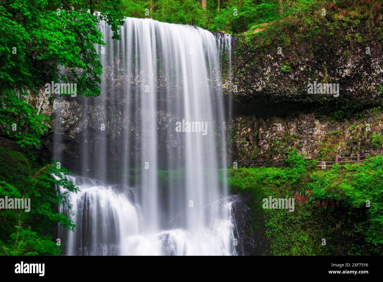 Lower South Falls, Silver Falls State Park, Oregon, USA. Stockfoto