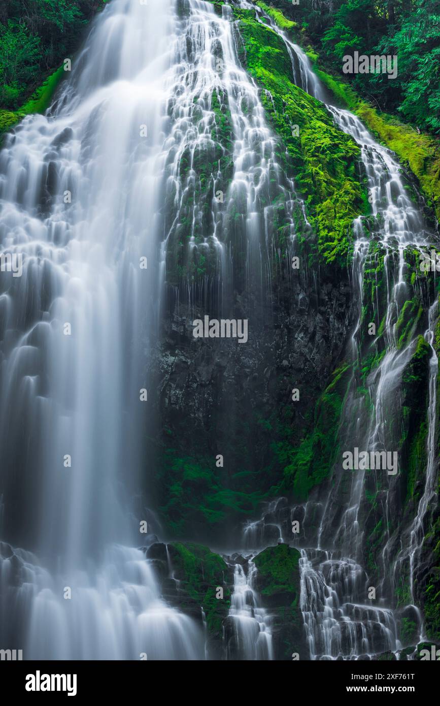 Proxy Falls, Three Sisters Wilderness, Oregon, USA. Stockfoto