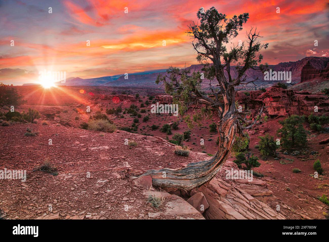 Sonnenuntergang im Capitol Reef National Park Stockfoto