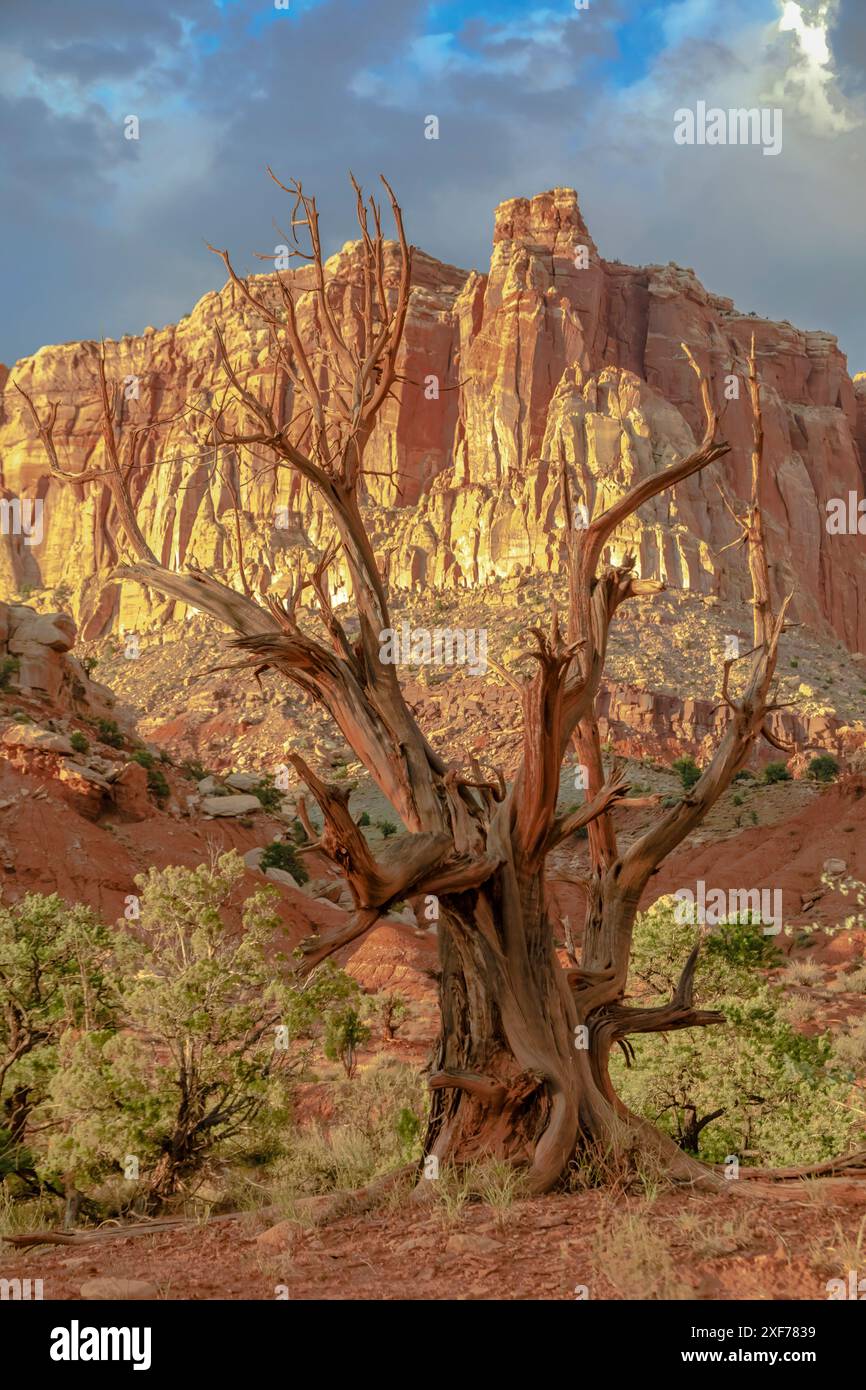 Capitol Reef Nationalpark Stockfoto