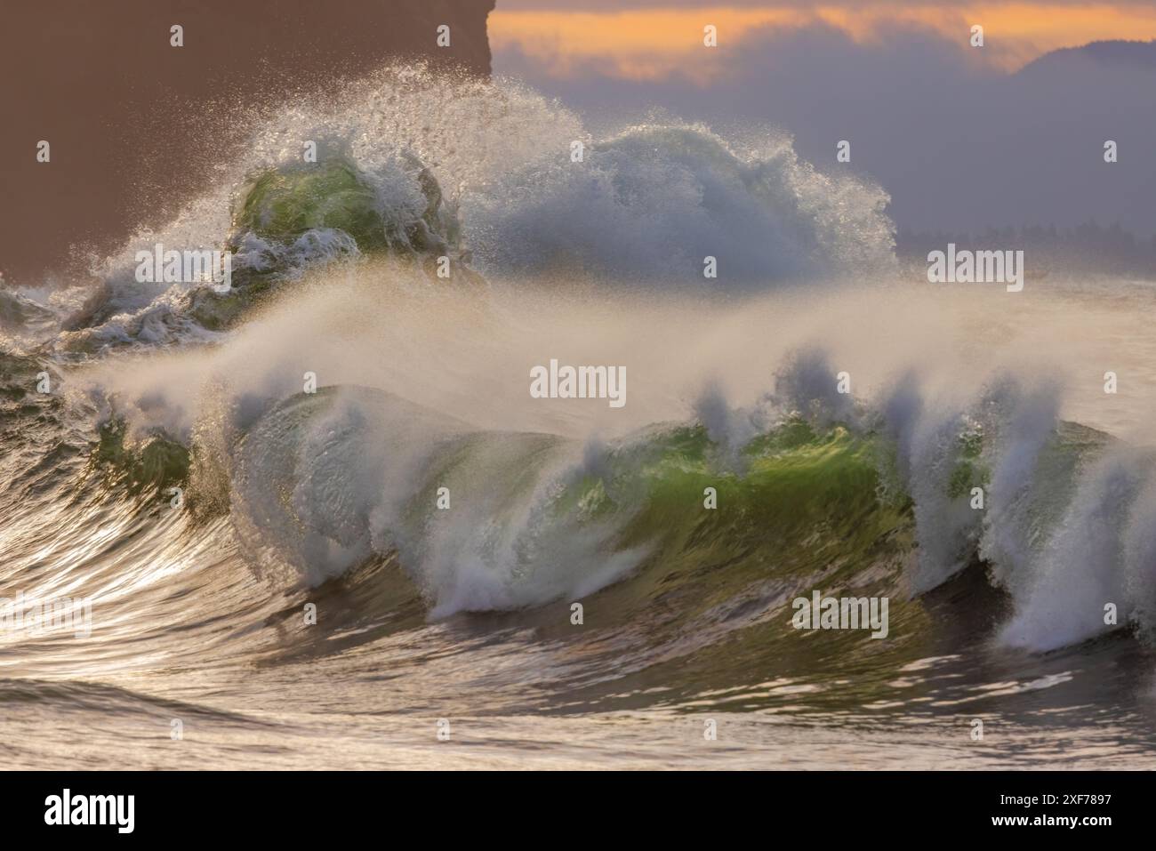 Wellen brechen im Cape Desappointment State Park im US-Bundesstaat Washington ab. Stockfoto