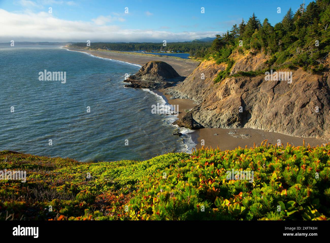 Agate Beach vom Headland Trail, Port Orford Heads State Park, Oregon Stockfoto