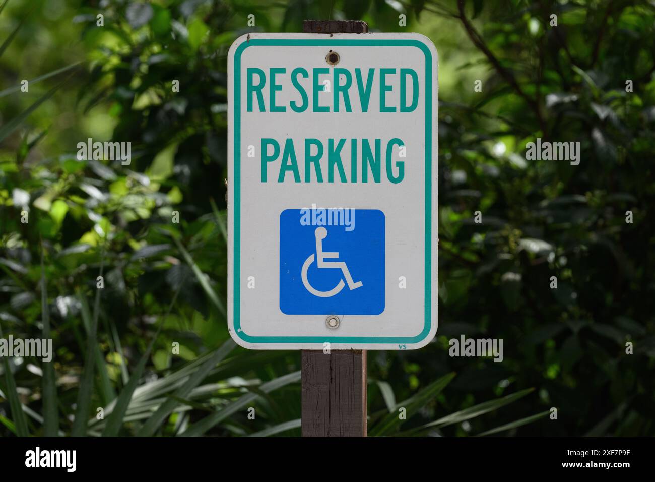 Reservierte Parkplätze mit Behindertensymbol Stockfoto
