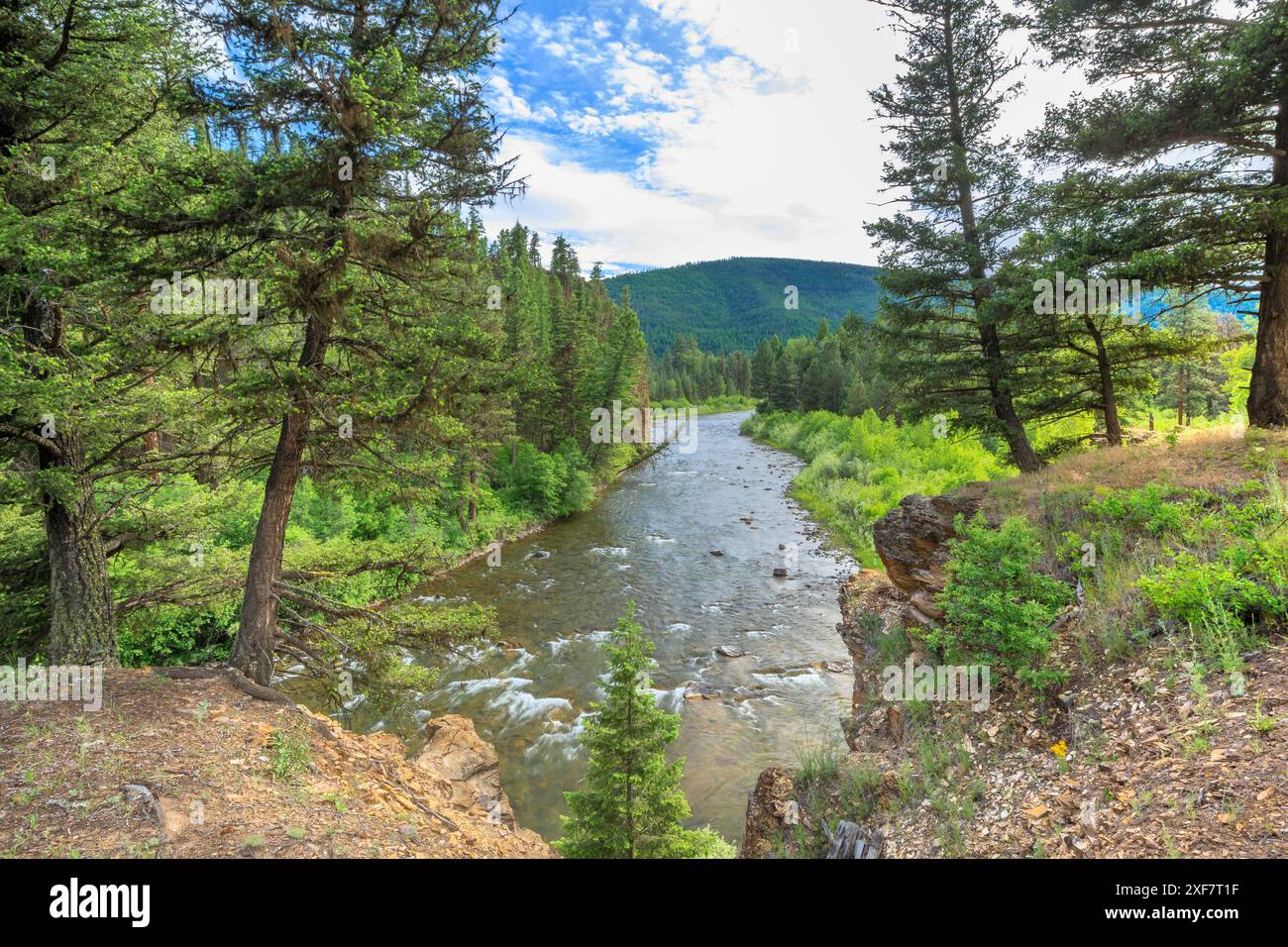 blackfoot River oberhalb der Flussmündung in der Nähe von ovando, montana Stockfoto