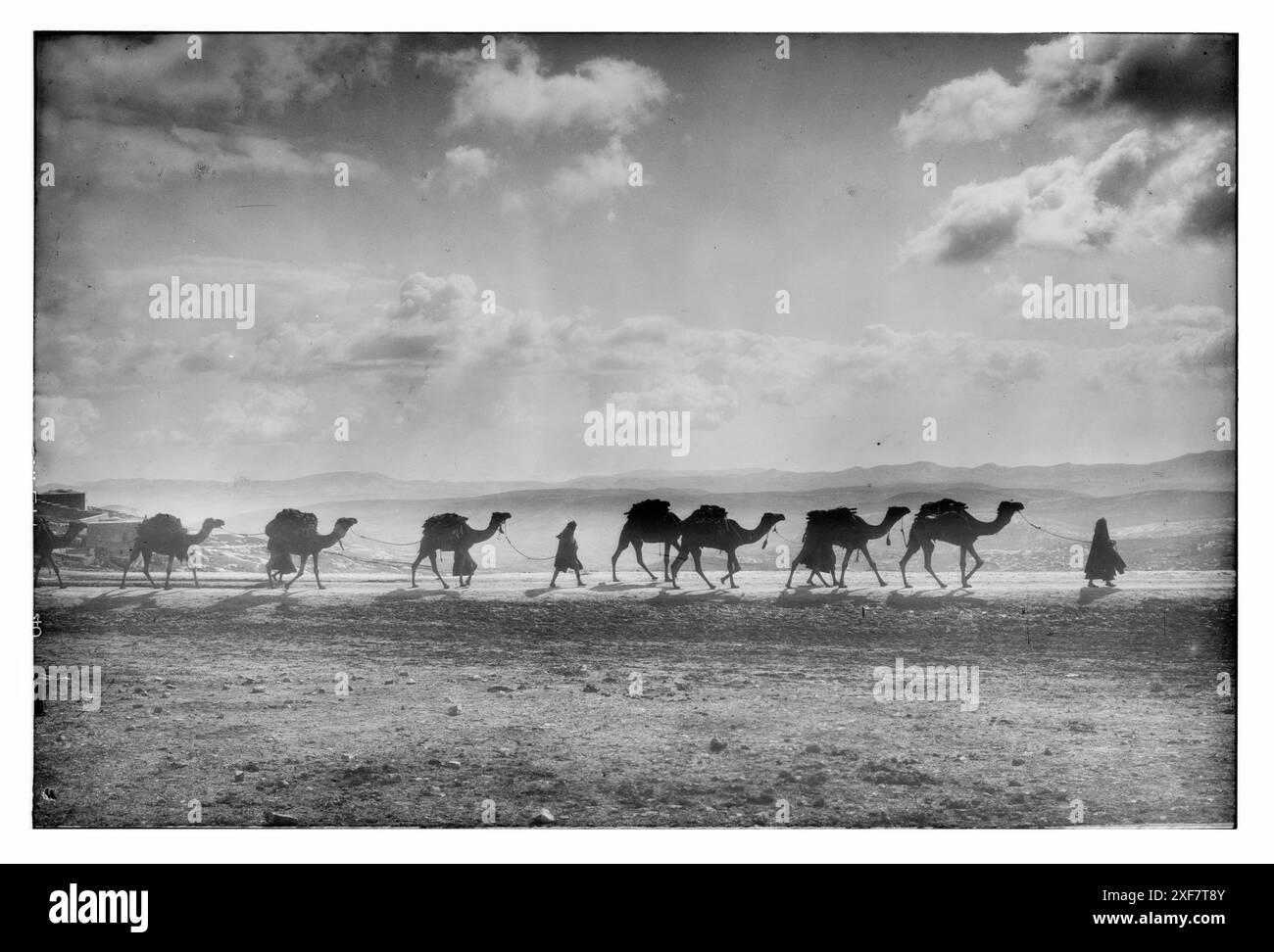 Ägyptischer Kameltransport über Olivet, Palästina, um 1918. Foto von G Eric und Edith Matson Photograph Collection. Stockfoto