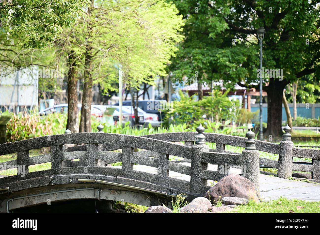 Der Frühling erweckt den Park zum Aufleben, da Bäume neue Knospen sprießen und eine Szene voller Vitalität schaffen. Stockfoto